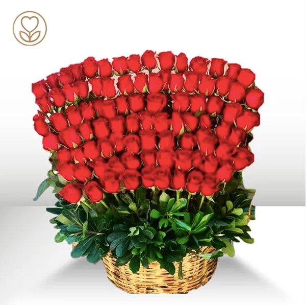 Cascada de 150 Rosas